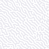 shape1